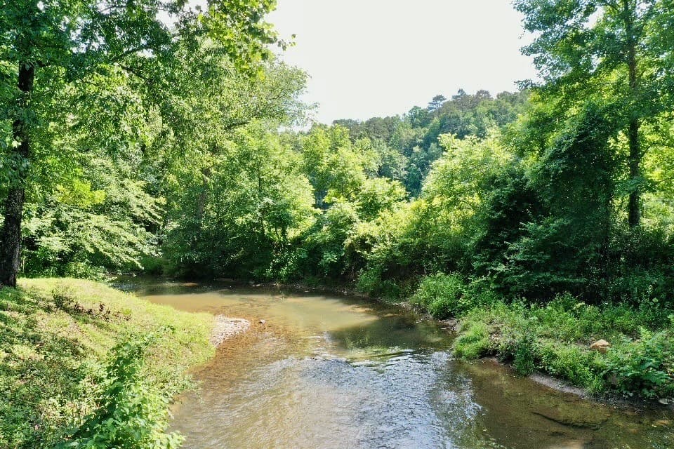 6389 Old Hwy 64 W, Warne NC 28909 - Photo