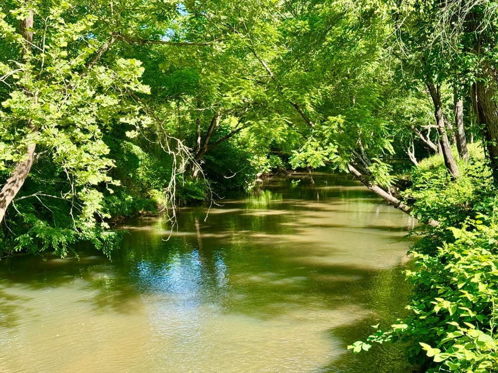6389 Old Hwy 64 W, Warne NC 28909 - Photo