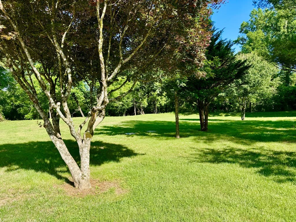 6389 Old Hwy 64 W, Warne NC 28909 - Photo
