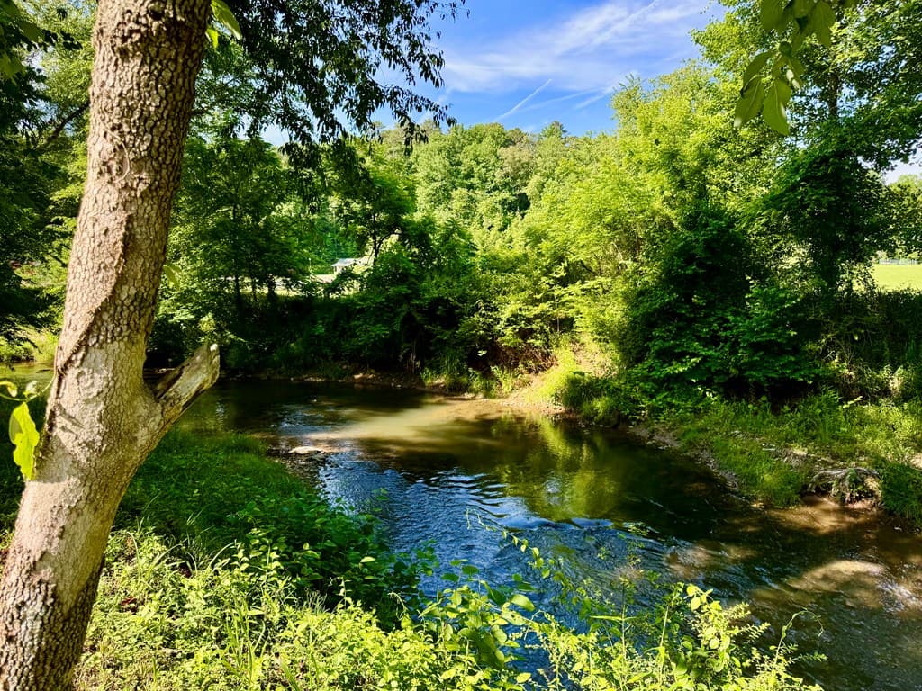 6389 Old Hwy 64 W, Warne NC 28909 - Photo