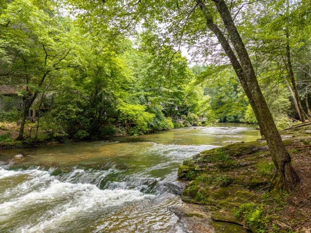 314 Lakeview Lane, Ellijay GA 30536 - Photo