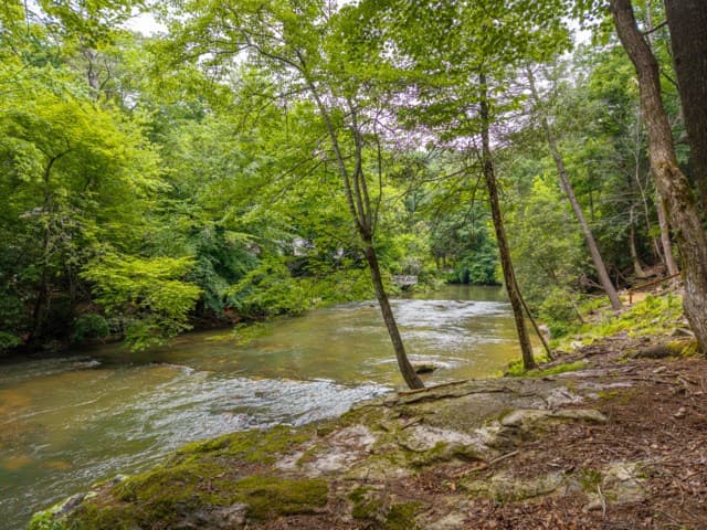 314 Lakeview Lane, Ellijay GA 30536 - Photo
