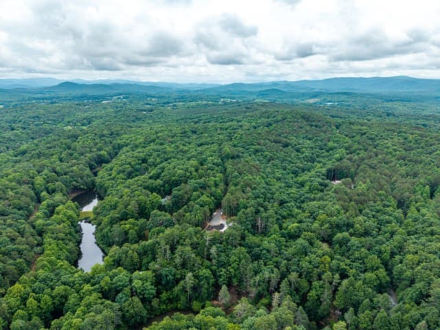 314 Lakeview Lane, Ellijay GA 30536 - Photo