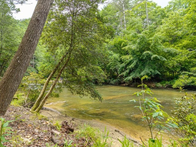 314 Lakeview Lane, Ellijay GA 30536 - Photo
