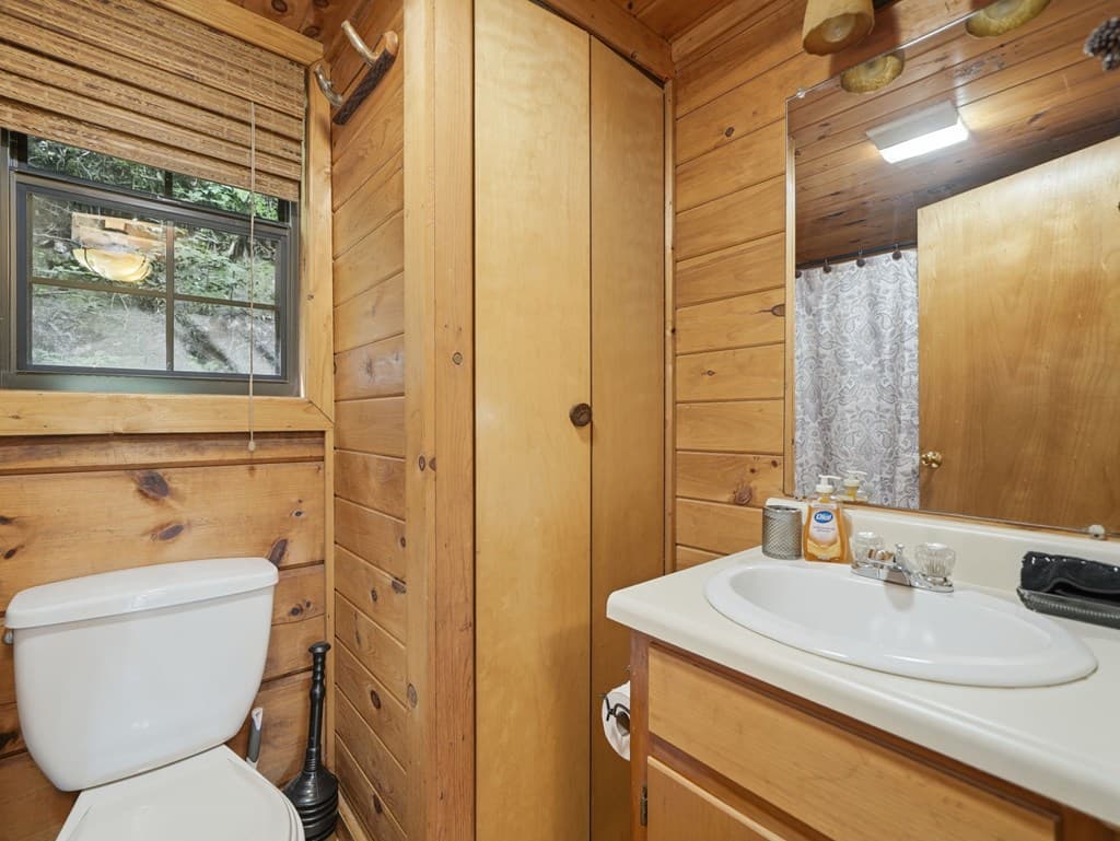 329 Laurel Ridge Drive, Blue Ridge GA 30513 - Photo