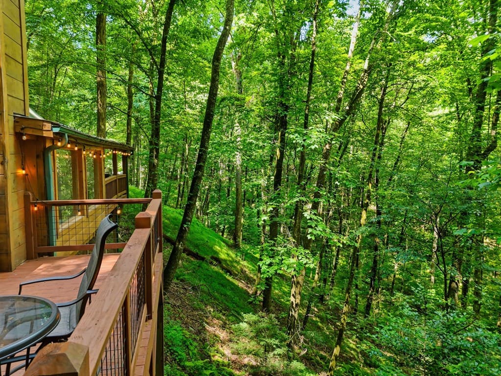 329 Laurel Ridge Drive, Blue Ridge GA 30513 - Photo