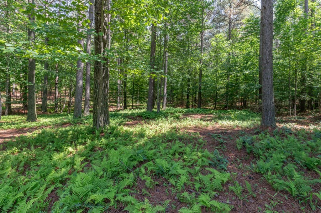 Lot 48 Thirteen Hundred, Blairsville GA 30512 - Photo