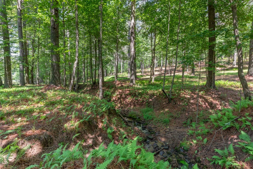 Lot 48 Thirteen Hundred, Blairsville GA 30512 - Photo