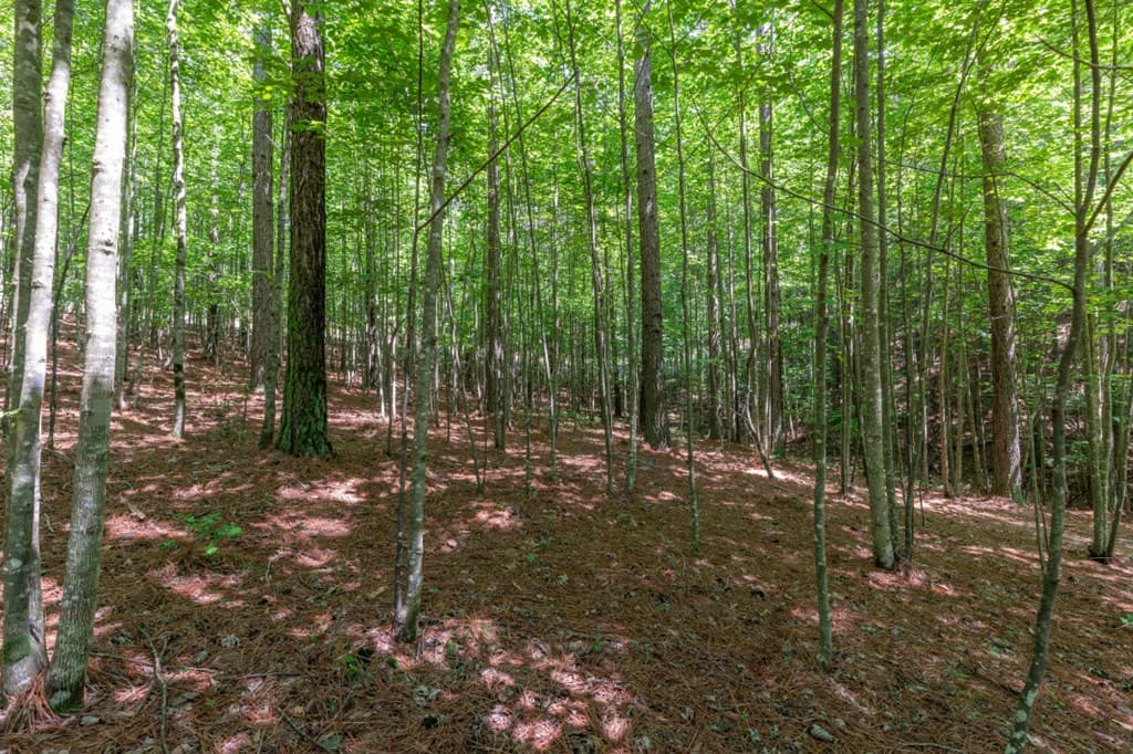 Lot 48 Thirteen Hundred, Blairsville GA 30512 - Photo