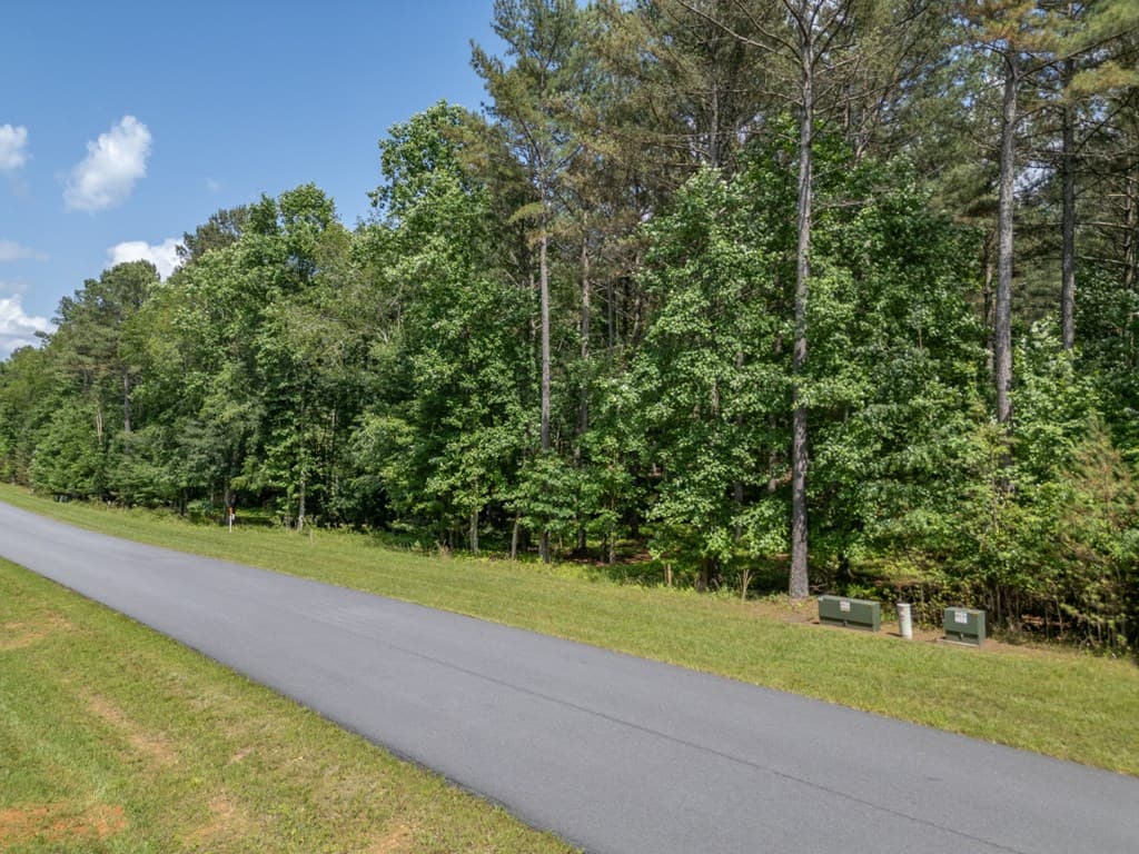 Lot 48 Thirteen Hundred, Blairsville GA 30512 - Photo