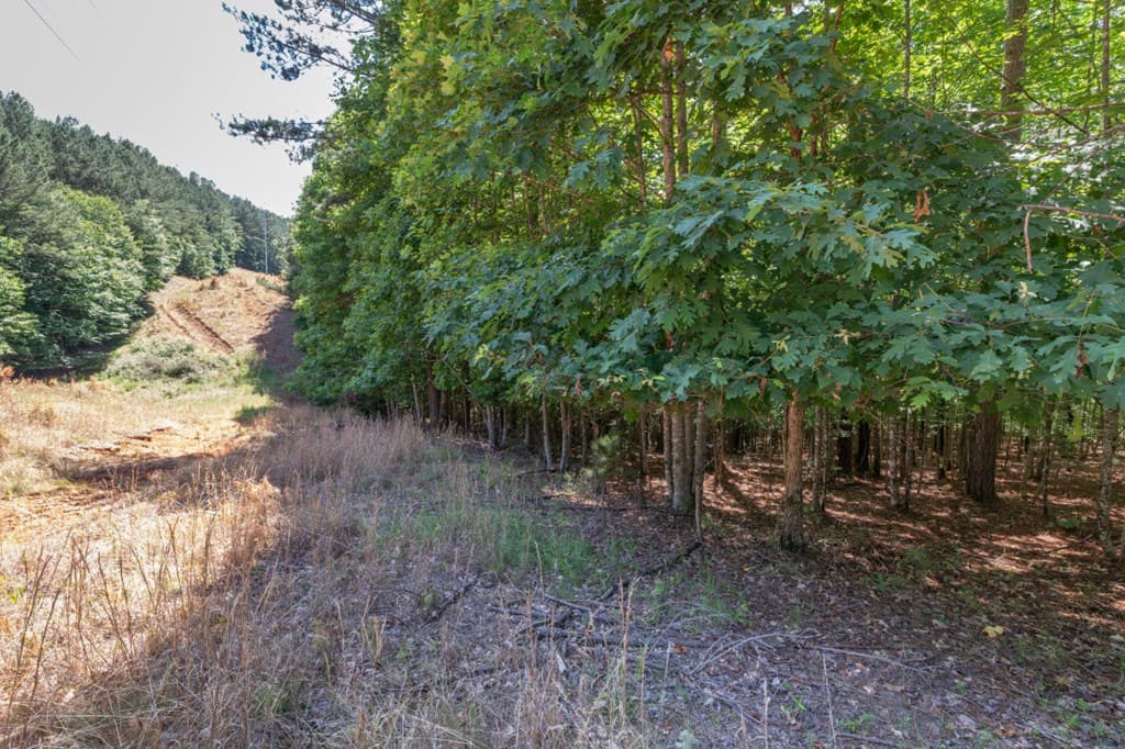 Lot 48 Thirteen Hundred, Blairsville GA 30512 - Photo