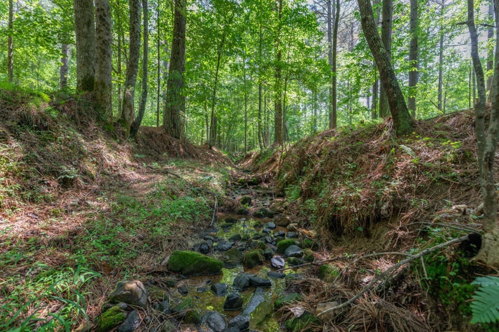 Lot 48 Thirteen Hundred, Blairsville GA 30512 - Photo
