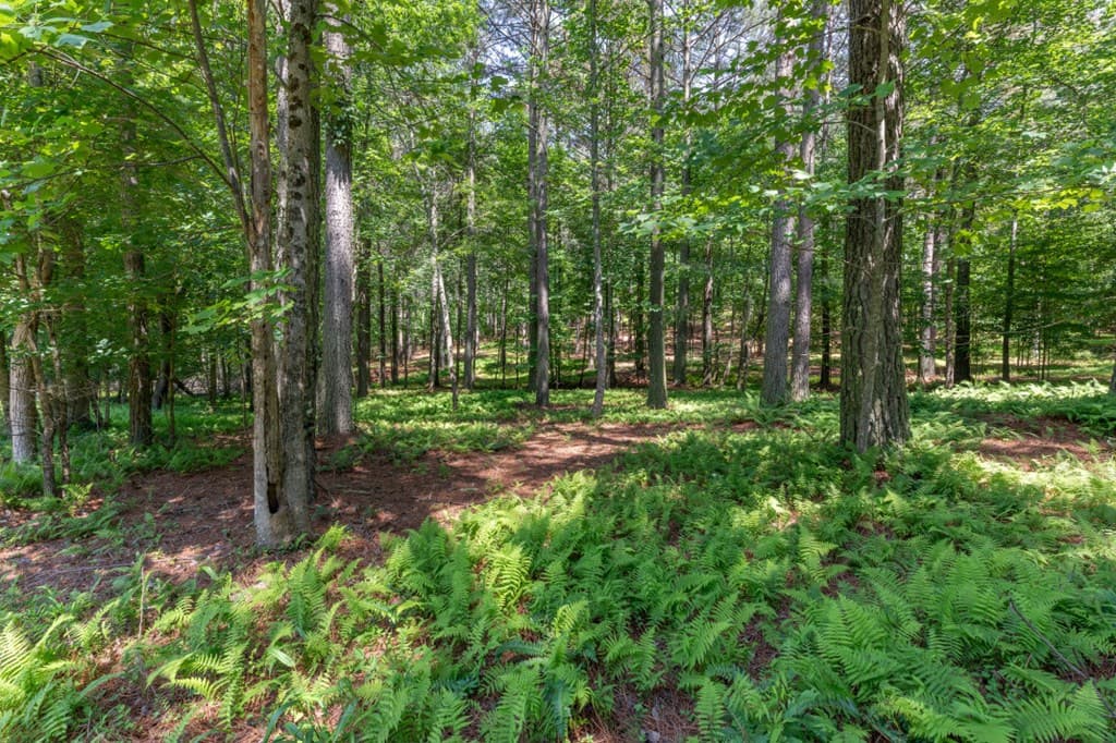 Lot 48 Thirteen Hundred, Blairsville GA 30512 - Photo