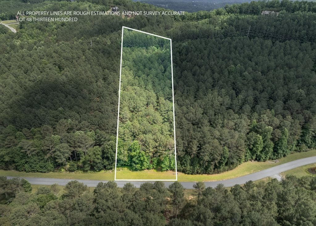 Lot 48 Thirteen Hundred, Blairsville GA 30512 - Primary photo