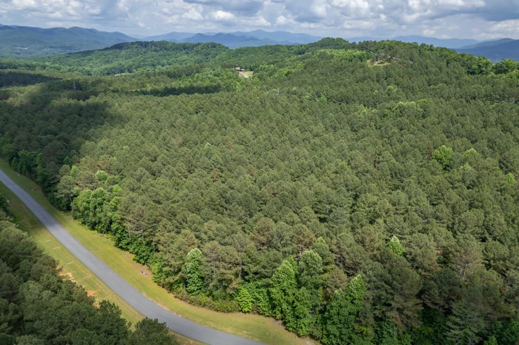 Lot 48 Thirteen Hundred, Blairsville GA 30512 - Photo