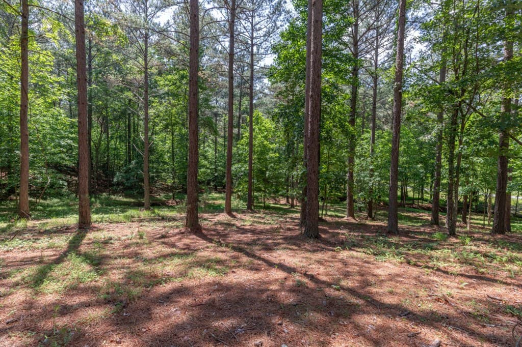 Lot 48 Thirteen Hundred, Blairsville GA 30512 - Photo