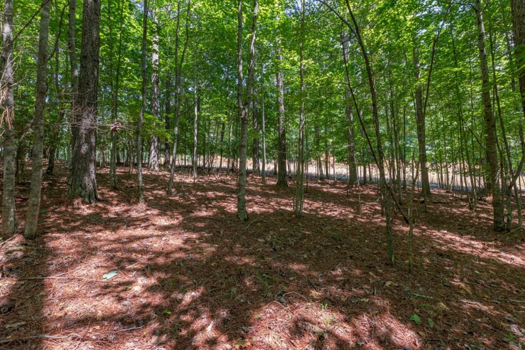 Lot 48 Thirteen Hundred, Blairsville GA 30512 - Photo