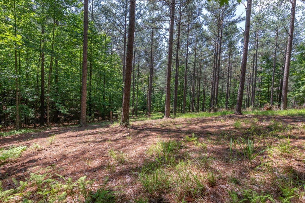 Lot 48 Thirteen Hundred, Blairsville GA 30512 - Photo