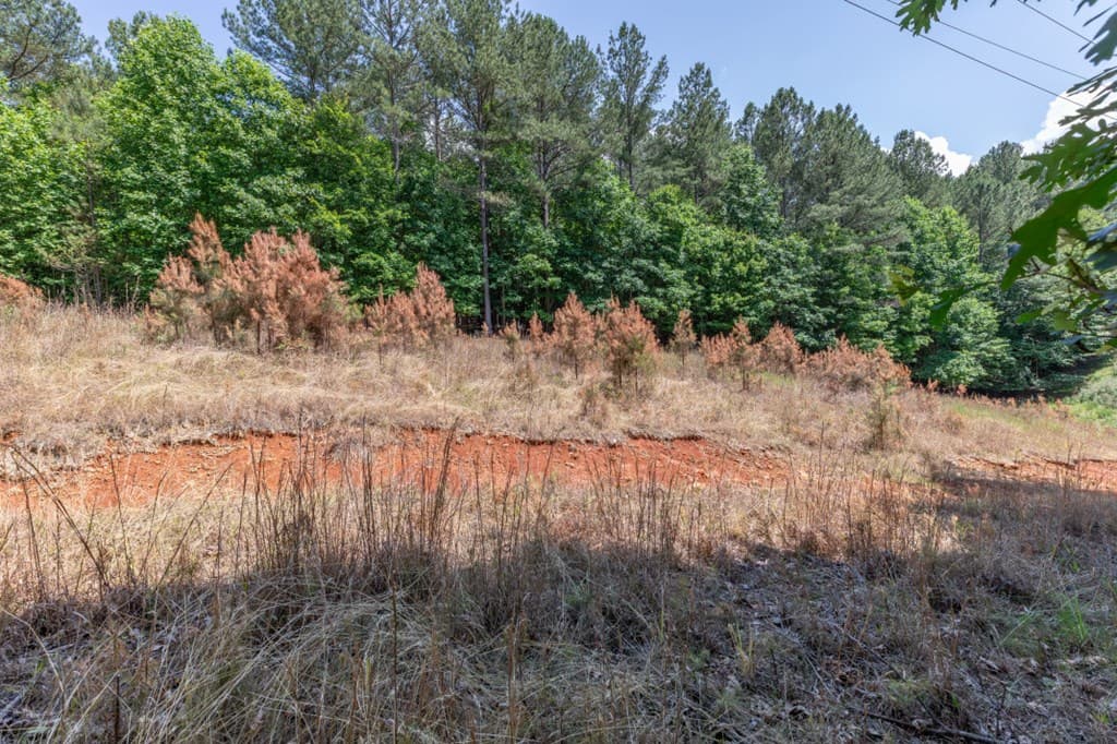 Lot 48 Thirteen Hundred, Blairsville GA 30512 - Photo