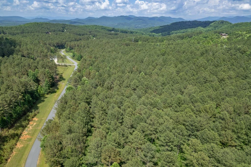 Lot 48 Thirteen Hundred, Blairsville GA 30512 - Photo