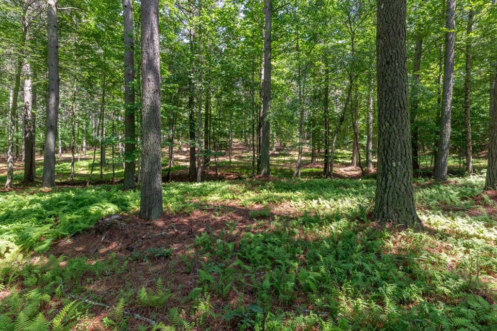 Lot 48 Thirteen Hundred, Blairsville GA 30512 - Photo