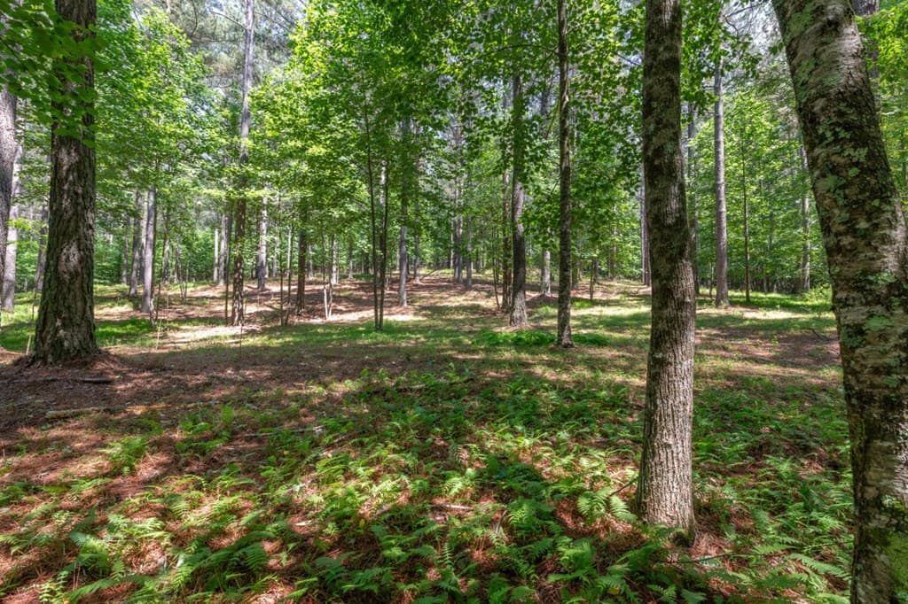 Lot 48 Thirteen Hundred, Blairsville GA 30512 - Photo