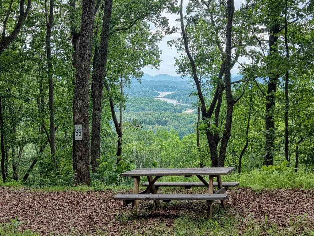22 Buckhead Hills, Hiawassee GA 30546 - Primary photo