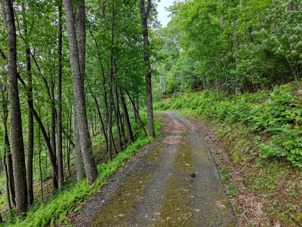 22 Buckhead Hills, Hiawassee GA 30546 - Photo