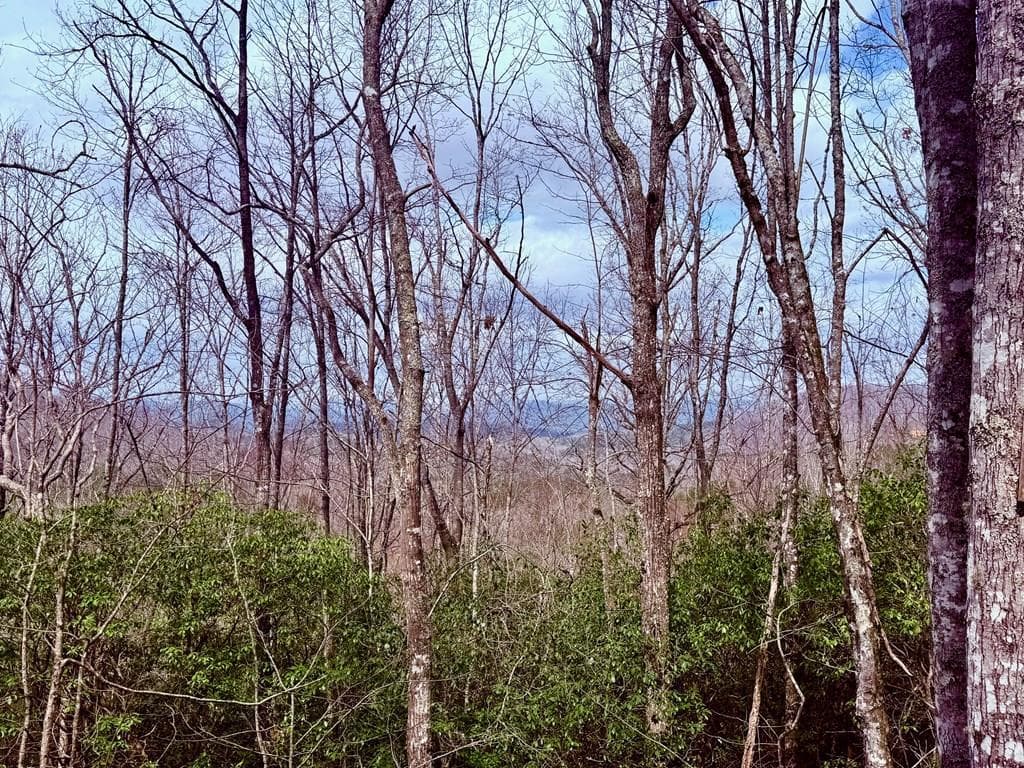 3.06 Ac Ridgeline Drive, Brasstown SC 29802 - Photo