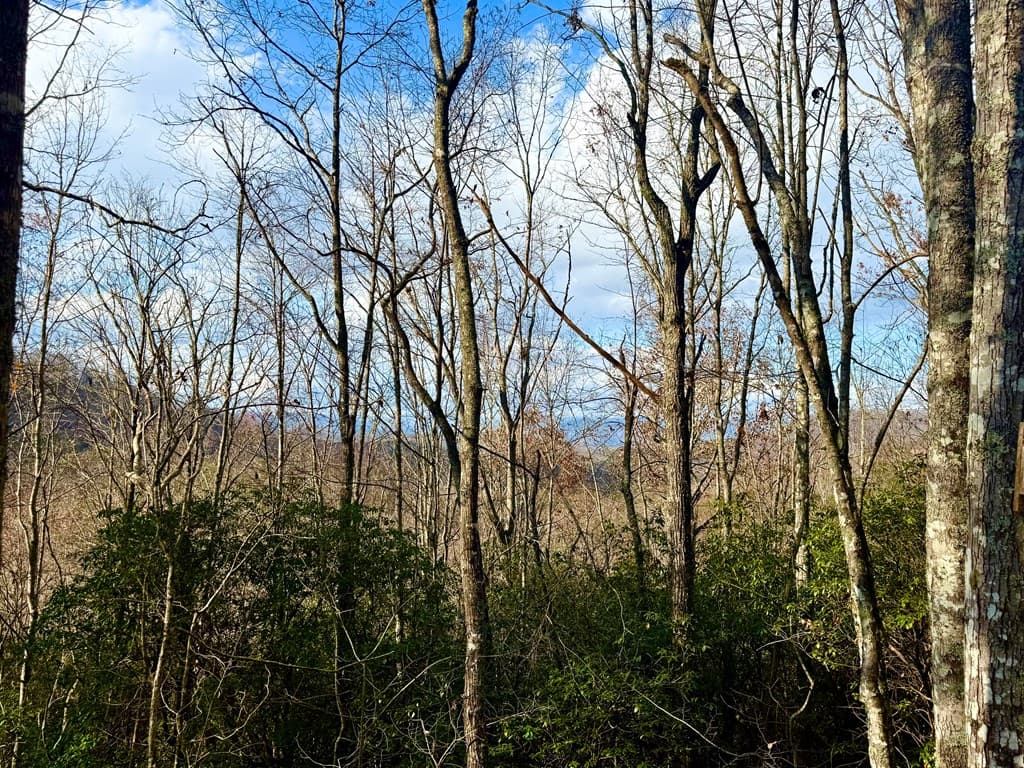 3.06 Ac Ridgeline Drive, Brasstown SC 29802 - Photo
