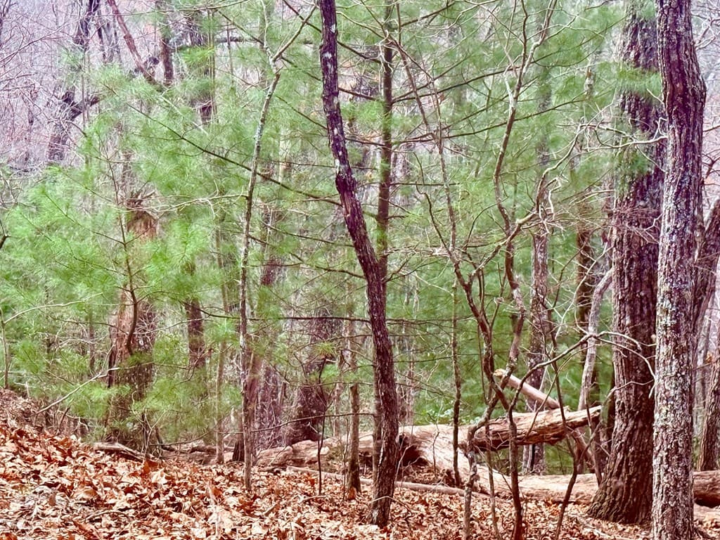 3.06 Ac Ridgeline Drive, Brasstown SC 29802 - Photo