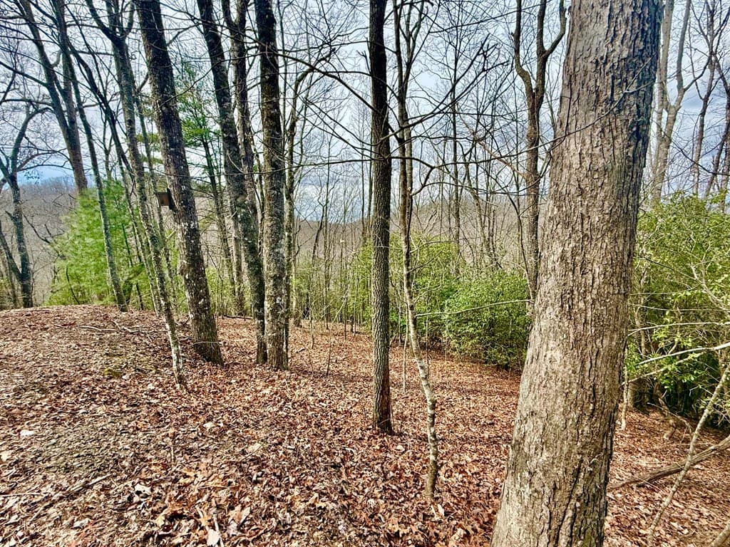 3.06 Ac Ridgeline Drive, Brasstown SC 29802 - Photo