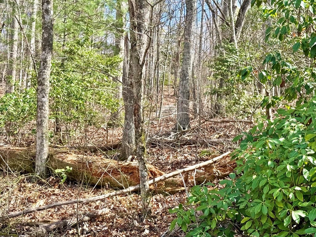 3.06 Ac Ridgeline Drive, Brasstown SC 29802 - Photo