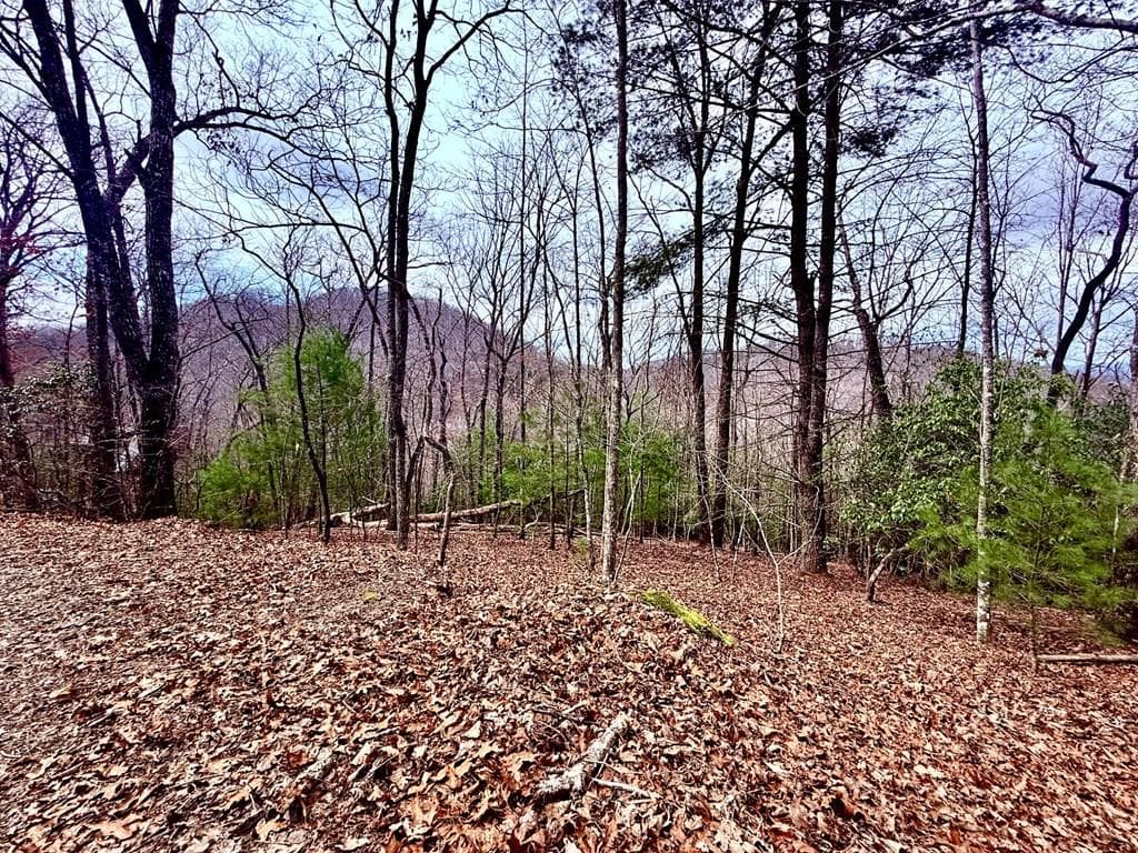 3.06 Ac Ridgeline Drive, Brasstown SC 29802 - Primary photo
