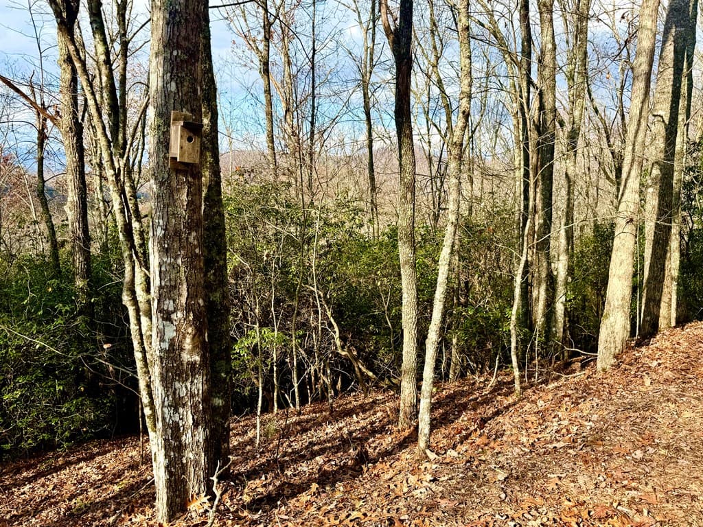 3.06 Ac Ridgeline Drive, Brasstown SC 29802 - Photo