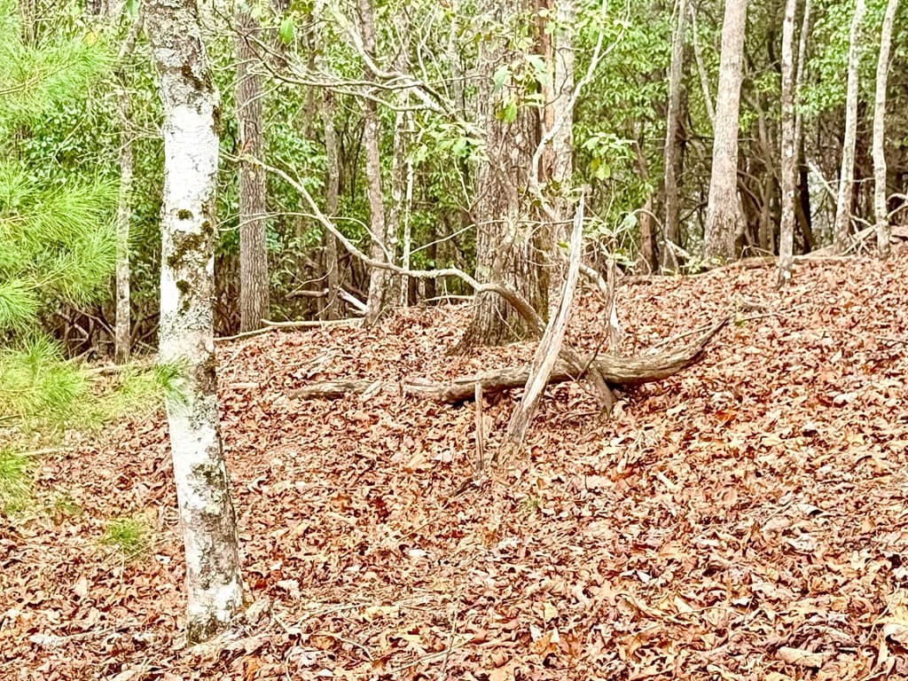3.06 Ac Ridgeline Drive, Brasstown SC 29802 - Photo