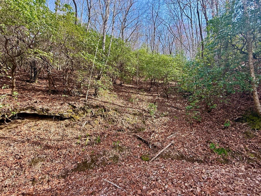3.06 Ac Ridgeline Drive, Brasstown SC 29802 - Photo