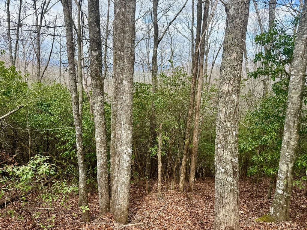 3.06 Ac Ridgeline Drive, Brasstown SC 29802 - Photo