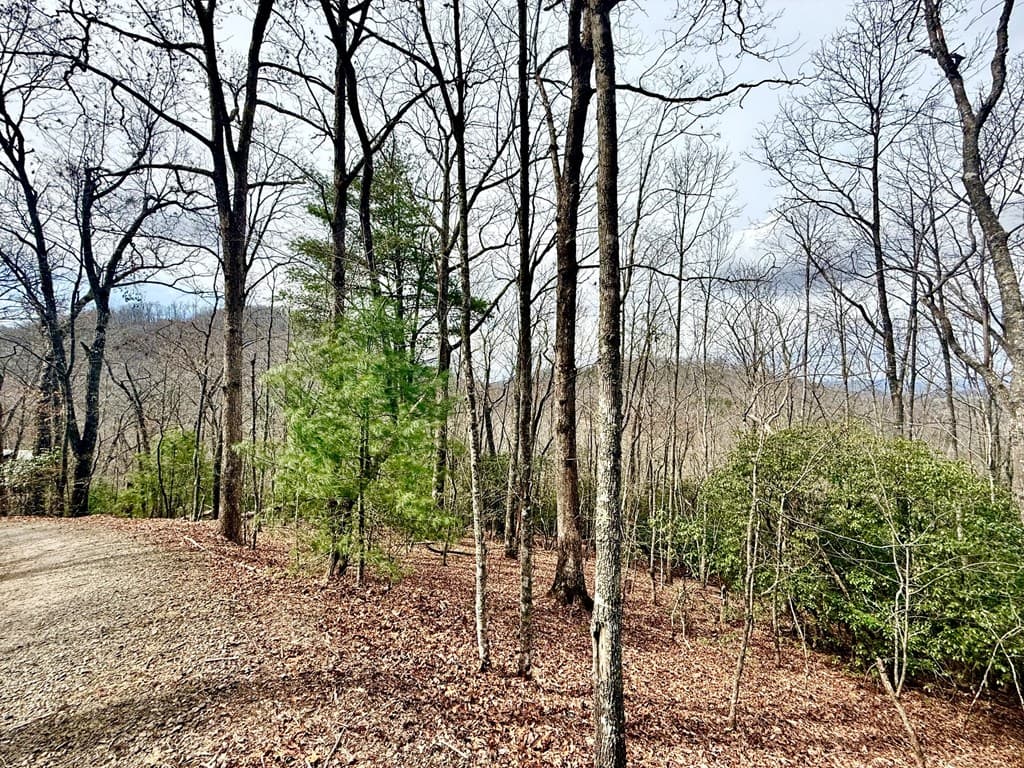 3.06 Ac Ridgeline Drive, Brasstown SC 29802 - Photo