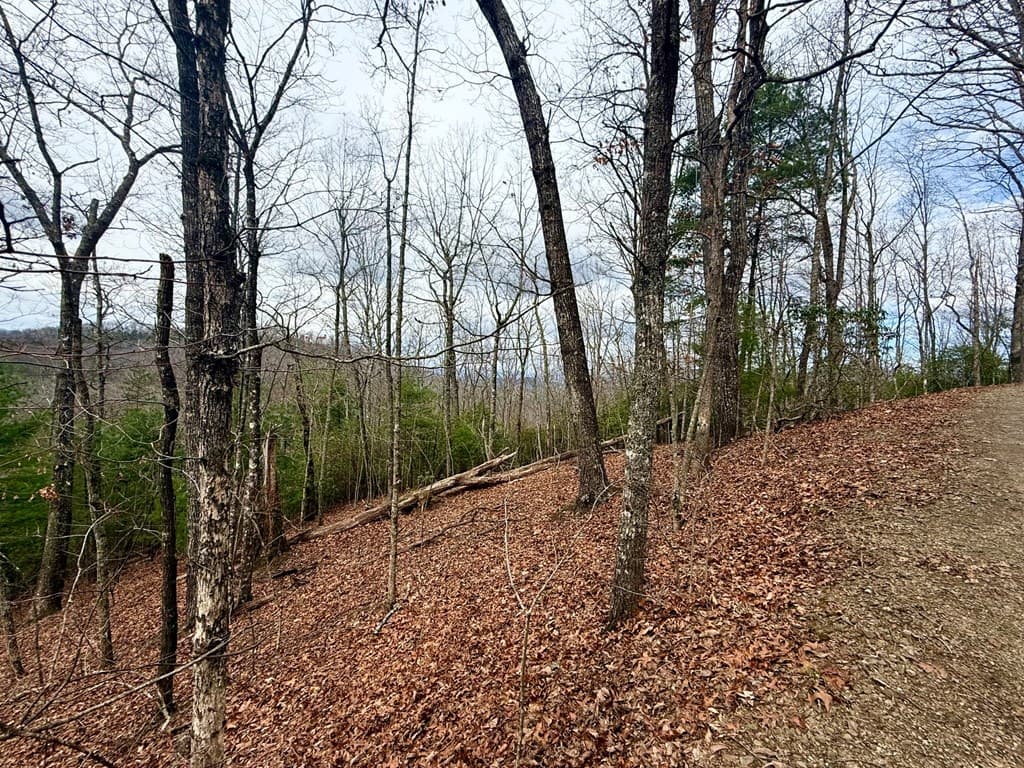 3.06 Ac Ridgeline Drive, Brasstown SC 29802 - Photo