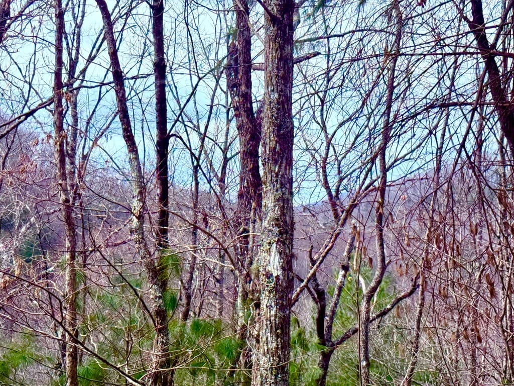 3.06 Ac Ridgeline Drive, Brasstown SC 29802 - Photo