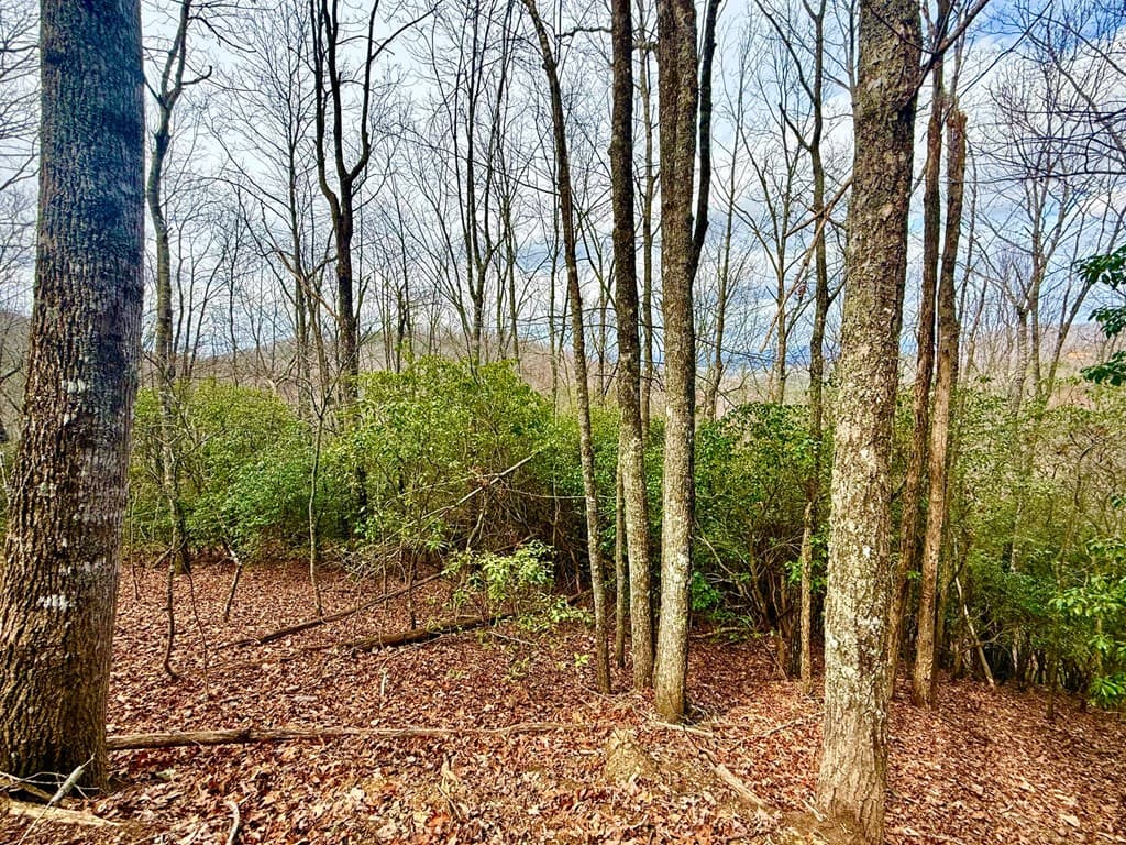 3.06 Ac Ridgeline Drive, Brasstown SC 29802 - Photo