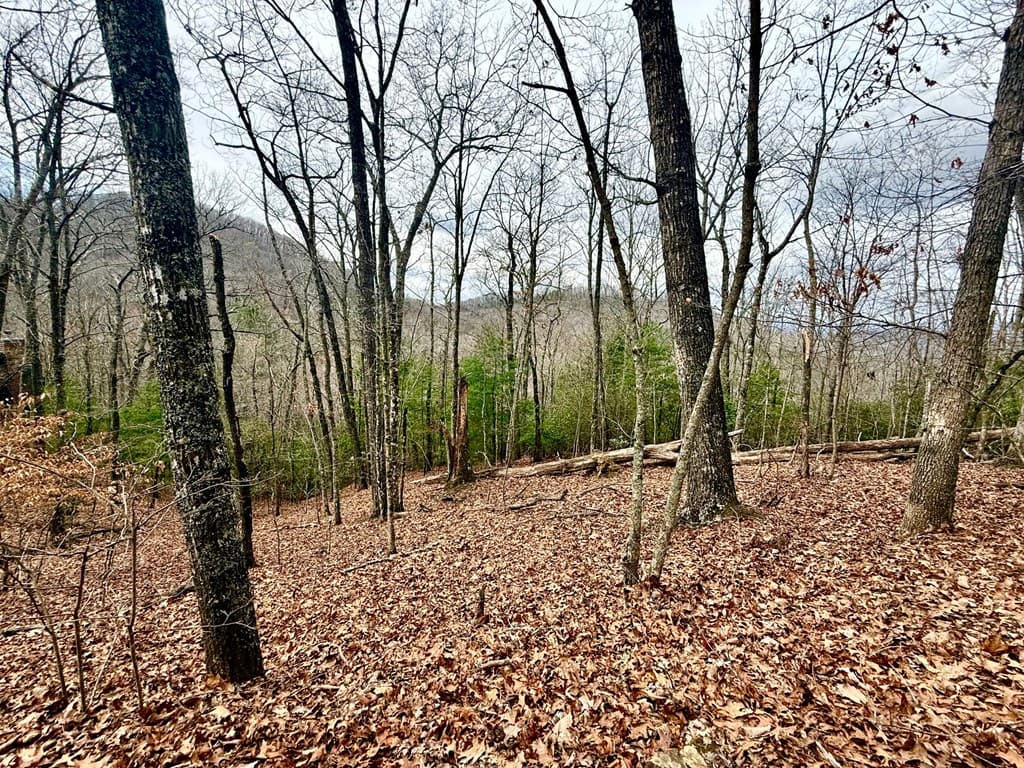 3.06 Ac Ridgeline Drive, Brasstown SC 29802 - Photo