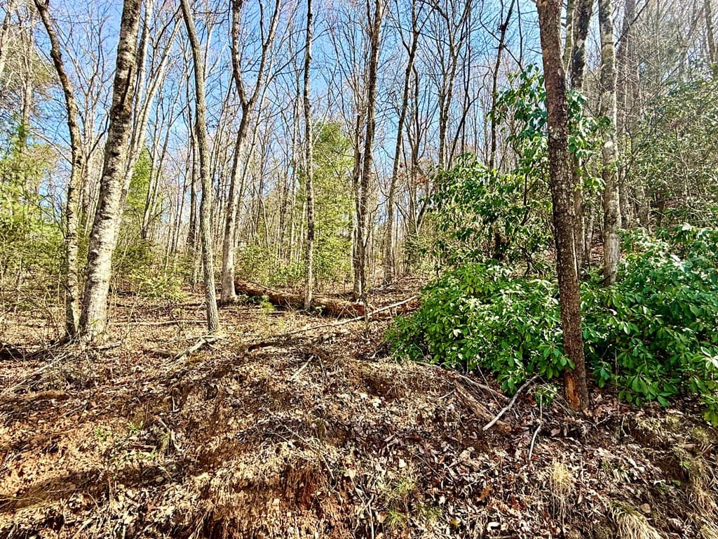 3.06 Ac Ridgeline Drive, Brasstown SC 29802 - Photo