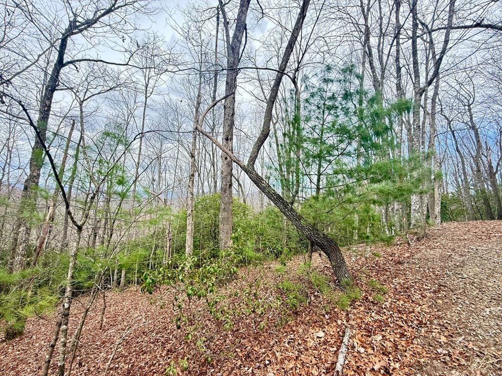 3.06 Ac Ridgeline Drive, Brasstown SC 29802 - Photo