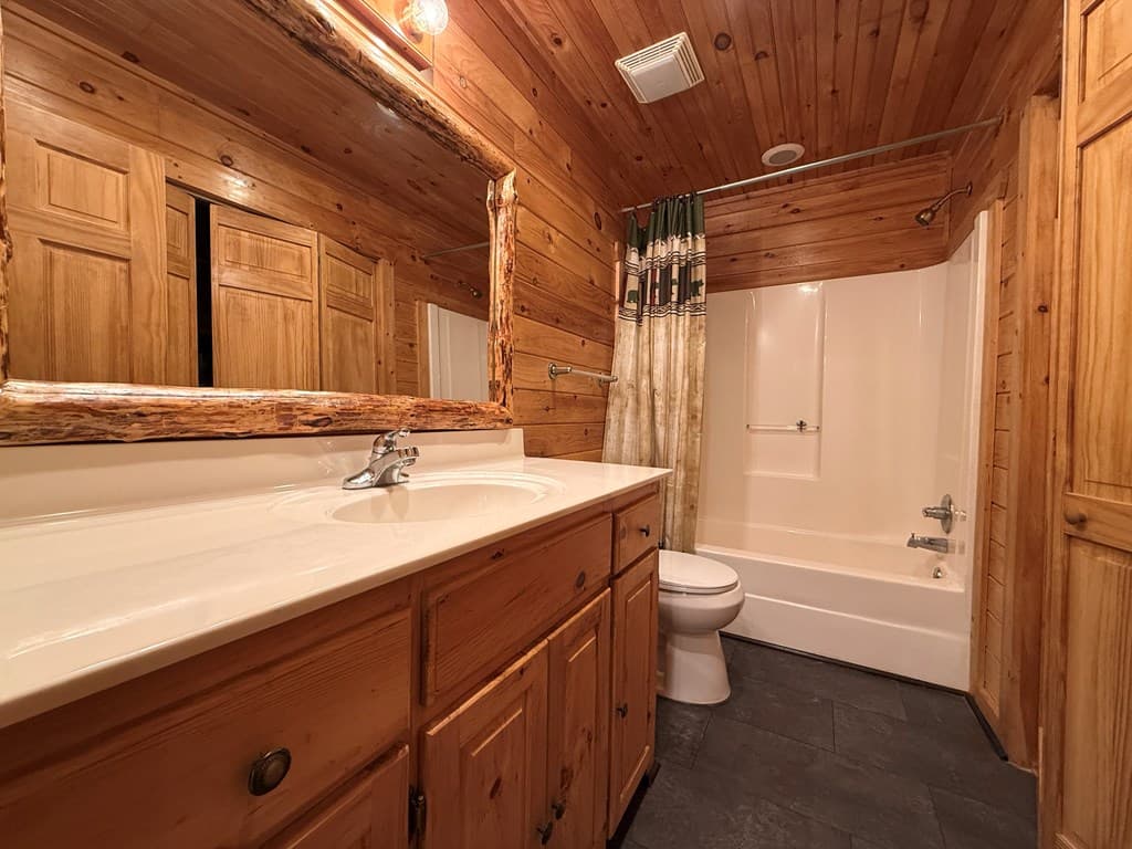 303 Pine Lane, Mineral Bluff GA 30559 - Photo
