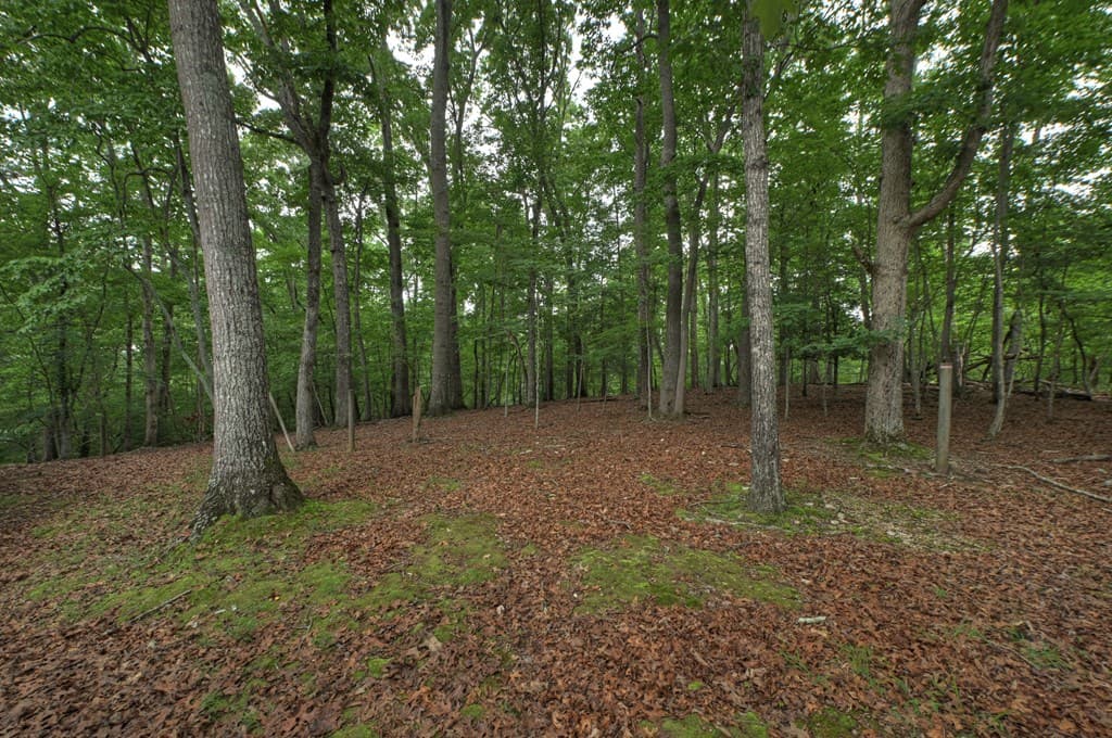 1076 Riverview Drive, Ellijay GA 30540 - Photo