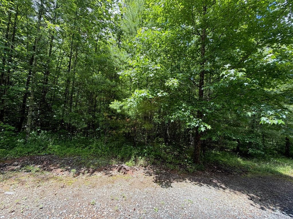 2.75AC Quail Ridge Road, Epworth GA 30541 - Photo