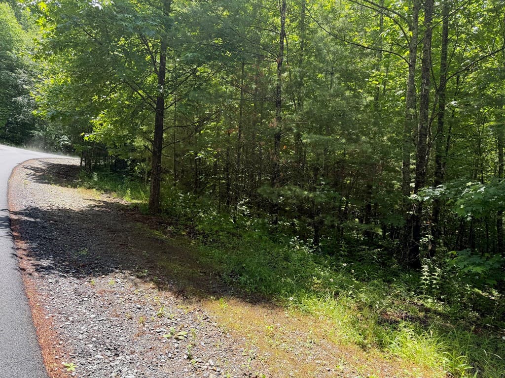2.75AC Quail Ridge Road, Epworth GA 30541 - Photo