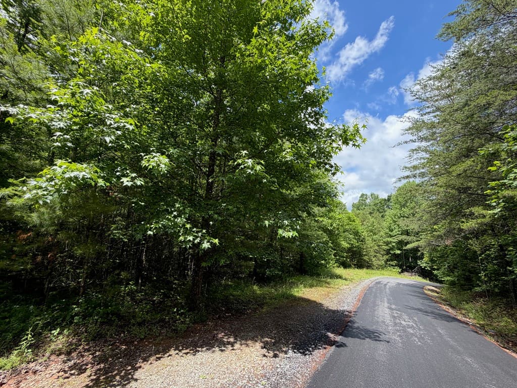 2.75AC Quail Ridge Road, Epworth GA 30541 - Photo